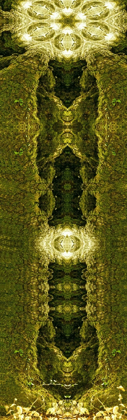 Lichtenergie Licht Energie