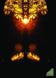 Naturwesen aus dem Element Erde